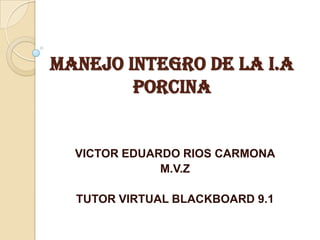 MANEJO INTEGRO DE LA I.A
PORCINA

VICTOR EDUARDO RIOS CARMONA
M.V.Z
TUTOR VIRTUAL BLACKBOARD 9.1

 