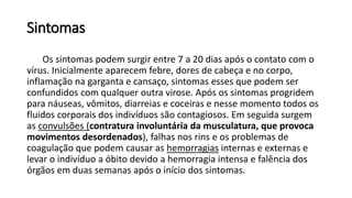 Sintomas
Os sintomas podem surgir entre 7 a 20 dias após o contato com o
vírus. Inicialmente aparecem febre, dores de cabeça e no corpo,
inflamação na garganta e cansaço, sintomas esses que podem ser
confundidos com qualquer outra virose. Após os sintomas progridem
para náuseas, vômitos, diarreias e coceiras e nesse momento todos os
fluidos corporais dos indivíduos são contagiosos. Em seguida surgem
as convulsões (contratura involuntária da musculatura, que provoca
movimentos desordenados), falhas nos rins e os problemas de
coagulação que podem causar as hemorragias internas e externas e
levar o indivíduo a óbito devido a hemorragia intensa e falência dos
órgãos em duas semanas após o início dos sintomas.
 