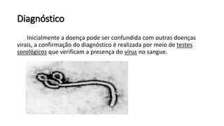 Diagnóstico
Inicialmente a doença pode ser confundida com outras doenças
virais, a confirmação do diagnóstico é realizada por meio de testes
sorológicos que verificam a presença do vírus no sangue.
 
