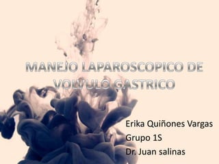 Erika Quiñones Vargas
Grupo 1S
Dr. Juan salinas
 