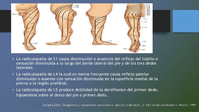 El dolor en el departamento de pecho el hombro y el cuello