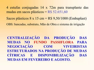 4 estufas conjugadas 14 x 72m para transplante das
mudas em sacos plásticos = R$ 52.651,60
Sacos plásticos 8 x 15 cm = R$ 9,50/1000 (Embaplast)
OBS: bancadas, substrato, Mão de Obra e sistema de irrigação
CENTRALIZAÇÃO DA PRODUÇÃO DAS
MUDAS NO FUNDO PASSIFLORA PARA
NEGOCIAÇÃO COM VIVEIRISTAS
ESTRUTURADOS NA PRODUÇÃO DE MUDAS
CÍTRICAS E DISPONIBILIZAÇÃO DAS
MUDAS EM FEVEREIRO E AGOSTO.
 