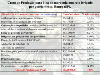 Custo de Produção para 1 ha de maracujá amarelo irrigado
por gotejamento. Bauru (SP).
(Mão de Obra + insumos + serviços + investimentos) Custo/atividade % sobre o custo
Análises de solo , quebra-vento, formigas R$ 364,18 1,74%
Preparo do solo e calagem em área total R$ 430,58 2,06%
Construção da espaldeira: madeira, bambu, arame, MO R$ 5.254,45 25,03%
Abrir, adubar e misturar adubos nos sulcos de plantio R$ 2.131,50 10,16%
Cerca de proteção do “lebrão” R$ 1.302,97 6,21%
Irrigação por gotejamento por gravidade R$ 1.700,99 8,10%
Plantio de 1.600 mudas – R$ 0,30/unid R$ 588,00 2,80%
Adubações de cobertura (5) R$ 824,55 3,94%
Aplicação de defensivos R$ 1.181,10 5,63%
Desbrotas, poda, polinização manual, capinas e monitor R$ 2.096,03 9,98%
Colheita R$ 805,71 3,84%
80 caixas plásticas R$ 816,00 3,89%
Mensalidade da Associação BauruFrutas R$ 360,00 1,72%
Comissão sobre venda (10%) + transporte R$ 3.132,48 14,92%
Custo de Produção no 1o ano R$ 20.988,54 100%
 