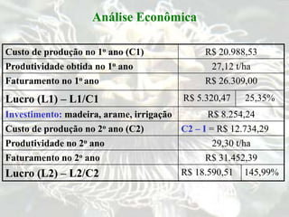 Análise Econômica
Custo de produção no 1o ano (C1) R$ 20.988,53
Produtividade obtida no 1o ano 27,12 t/ha
Faturamento no 1o ano R$ 26.309,00
Lucro (L1) – L1/C1 R$ 5.320,47 25,35%
Investimento: madeira, arame, irrigação R$ 8.254,24
Custo de produção no 2o ano (C2) C2 – I = R$ 12.734,29
Produtividade no 2o ano 29,30 t/ha
Faturamento no 2o ano R$ 31.452,39
Lucro (L2) – L2/C2 R$ 18.590,51 145,99%
 