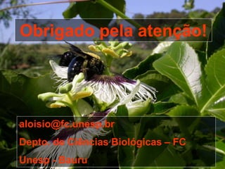 Obrigado pela atenção!
aloisio@fc.unesp.br
Depto. de Ciências Biológicas – FC
Unesp - Bauru
 