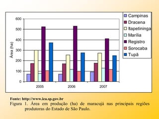0
100
200
300
400
500
600
2005 2006 2007
Área
(ha)
Campinas
Dracena
Itapetininga
Marília
Registro
Sorocaba
Tupã
Fonte: http://www.iea.sp.gov.br
Figura 1. Área em produção (ha) de maracujá nas principais regiões
produtoras do Estado de São Paulo.
 
