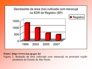0
500
1000
1500
1999 2003 2005 2007
Decréscimo da área (ha) cultivada com maracujá
na EDR de Registro (SP)
Registro
Fonte: http://www.iea.sp.gov.br
Figura 2. Redução da área cultivada com maracujá na principal região
produtora do Estado de São Paulo.
 