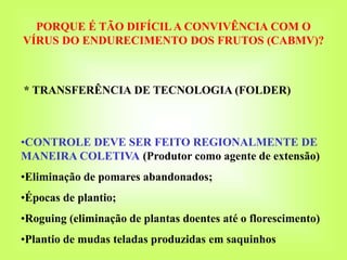 PORQUE É TÃO DIFÍCILA CONVIVÊNCIA COM O
VÍRUS DO ENDURECIMENTO DOS FRUTOS (CABMV)?
* TRANSFERÊNCIA DE TECNOLOGIA (FOLDER)
•CONTROLE DEVE SER FEITO REGIONALMENTE DE
MANEIRA COLETIVA (Produtor como agente de extensão)
•Eliminação de pomares abandonados;
•Épocas de plantio;
•Roguing (eliminação de plantas doentes até o florescimento)
•Plantio de mudas teladas produzidas em saquinhos
 