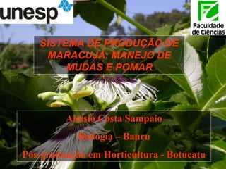 SISTEMA DE PRODUÇÃO DE
MARACUJÁ: MANEJO DE
MUDAS E POMAR
Aloísio Costa Sampaio
Biologia – Bauru
Pós-graduação em Horticultura - Botucatu
 