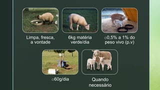z
Limpa, fresca,
a vontade
6kg matéria
verde/dia
o0,5% a 1% do
peso vivo (p.v)
o60g/dia Quando
necessário
 