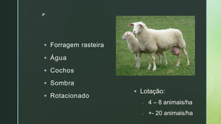 z
 Forragem rasteira
 Água
 Cochos
 Sombra
 Rotacionado
 Lotação:
o 4 – 8 animais/ha
o +- 20 animais/ha
 