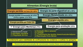 z Alimentos (Energia bruta)
Energia Metabolizada (60 a 55%)Energia perdida na formação de urina
(3-4%) e gases (3 a 10%)
Energia perdida por Calor (A)
Energia perdida nas fezes (20 a 60%) Energia da parte digestível (80 a 40%)
Energia Líquida (50%)
1° Energia para Mantença (75%) Energia para produção (25%)
a-Metabolismo basal
b-Atividade voluntária
C-Regulação térmica
a-Gestação (feto e anexos)
b-Lactação
C- Crescimento dos tecidos ósseo/muscular/adiposo
d-Reprodução-Ovos Sêmen
Fundamento para viabilidade de confinamento de cordeiros e ovelhas no periparto
Essencial para prevenção de verminoses nestas fases susceptíveis
 