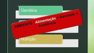 z
Genética
Ambiente
Nutrição
 