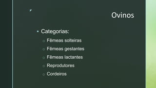 z
Ovinos
 Categorias:
o Fêmeas solteiras
o Fêmeas gestantes
o Fêmeas lactantes
o Reprodutores
o Cordeiros
 