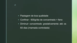 z
 Pastagem de boa qualidade
 Confinar - 600g/dia de concentrado + feno
 Diminuir concentrado gradativamente até os
60 dias (mamada controlada)
 
