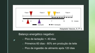 z
z
z
Adaptado Vascos, A. P. C.
Balanço energético negativo:
o Pico de lactação +- 40 dias
o Primeiros 60 dias - 80% em produção de leite
o Pico de ingestão de alimento após 120 dias
 