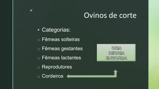 z
Ovinos de corte
 Categorias:
o Fêmeas solteiras
o Fêmeas gestantes
o Fêmeas lactantes
o Reprodutores
o Cordeiros
 