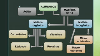 z ALIMENTOS
ÁGUA
MATÉRIA
SECA
Matéria
orgânica
Matéria
inorgânica
Micro
nutrientes
Macro
nutrientes
VitaminasCarboidratos
Lipídeos Proteínas
 
