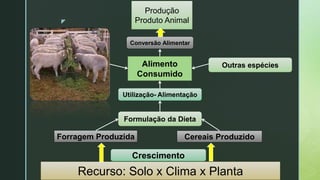 z
Recurso: Solo x Clima x Planta
Forragem Produzida
Alimento
Consumido
Produção
Produto Animal
Crescimento
Utilização- Alimentação
Conversão Alimentar
Cereais Produzido
Formulação da Dieta
Outras espécies
 