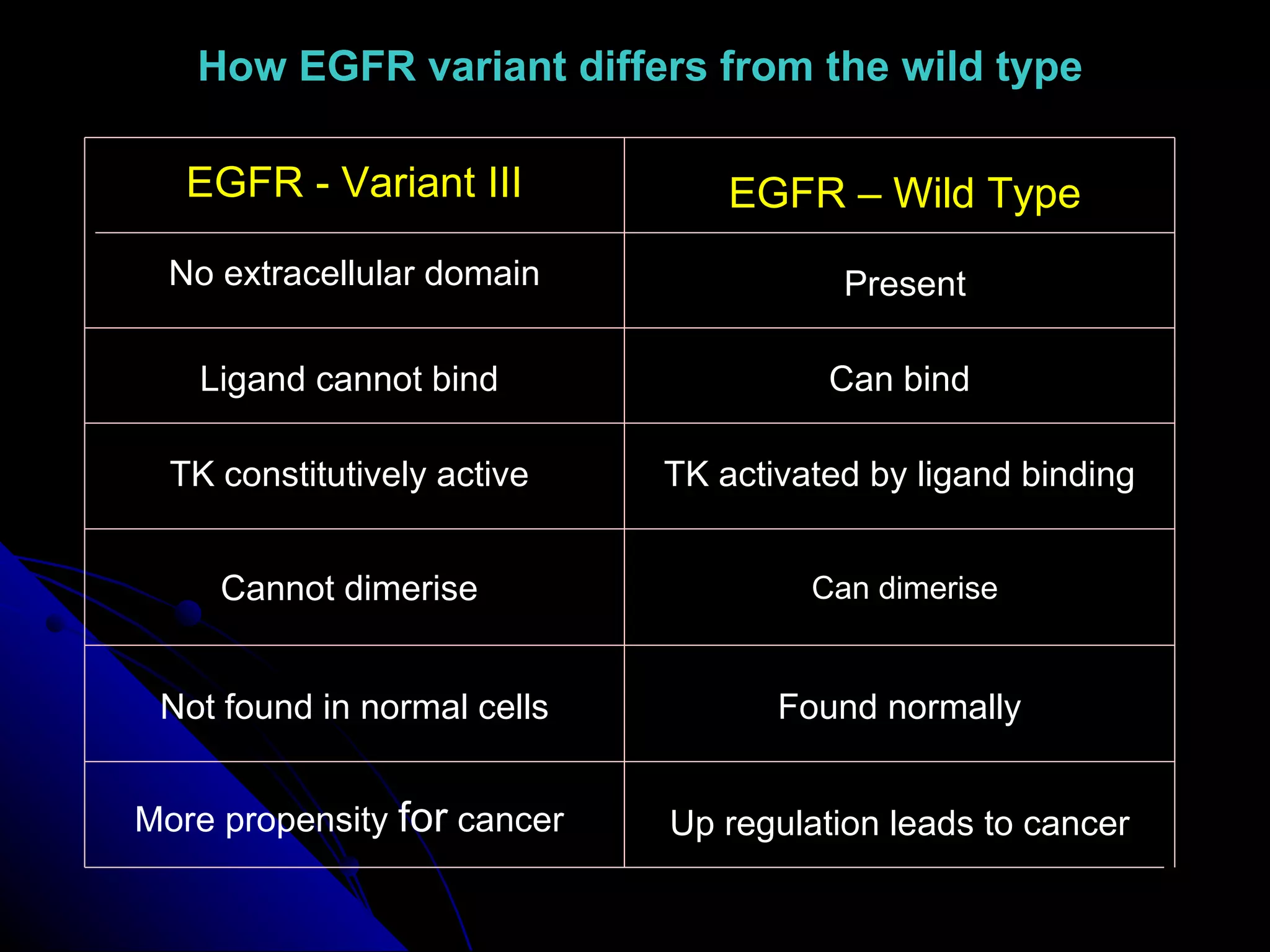 EGFR - Variant III EGFR – Wild Type No extracellular domain Present Ligand cannot bind Can bind TK constitutively active TK activated by ligand binding Cannot dimerise Can dimerise Not found in normal cells Found normally More propensity  for  cancer Up regulation leads to cancer How EGFR variant differs from the wild type 