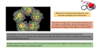 Miembro de la familia de la pentraxina, es el
marcador prototípico de la inflamación
Marcador de riesgo para la enfermedad cardiovascular
y es aditivo a lipoproteínas de baja densidad (LDL) y la
puntuación de riesgo de Framingham a 10 años (FRS)
la Asociación y los Centros para el Control y la Prevención de Enfermedades Americana del Corazón han
recomendado que en los pacientes con un FRS de 10% a 20%, una PCR entre 3 y 10 mg / l confiere un mayor riesgo
de enfermedad cardiovascular
Aunque previamente se creía que la CRP se produce exclusivamente por el hígado, los datos recientes sugieren que
la PCR también se produce en ateroma humano.
 
