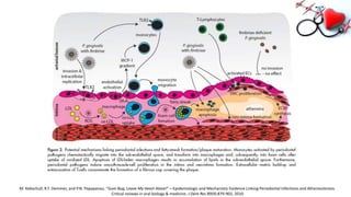 M. Kebschull, R.T. Demmer, and P.N. Papapanou. “Gum Bug, Leave My Heart Alone!”—Epidemiologic and Mechanistic Evidence Linking Periodontal Infections and Atherosclerosis.
Critical reviews in oral biology & medicine. J Dent Res 89(9):879-902, 2010
 