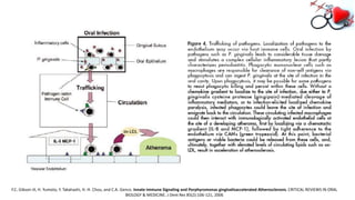 F.C. Gibson III, H. Yumoto, Y. Takahashi, H.-H. Chou, and C.A. Genco. Innate Immune Signaling and Porphyromonas gingivalisaccelerated Atherosclerosis. CRITICAL REVIEWS IN ORAL
BIOLOGY & MEDICINE. J Dent Res 85(2):106-121, 2006
 