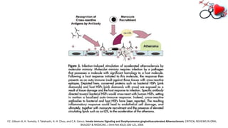 F.C. Gibson III, H. Yumoto, Y. Takahashi, H.-H. Chou, and C.A. Genco. Innate Immune Signaling and Porphyromonas gingivalisaccelerated Atherosclerosis. CRITICAL REVIEWS IN ORAL
BIOLOGY & MEDICINE. J Dent Res 85(2):106-121, 2006
 