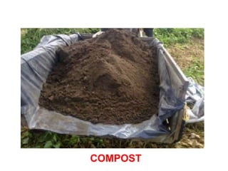 COMPOST
 