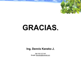 GRACIAS.
Ing. Dennis Kaneko J.
Cel: 962-337-945
E-mail: dkanekoj@hotmail.com
 