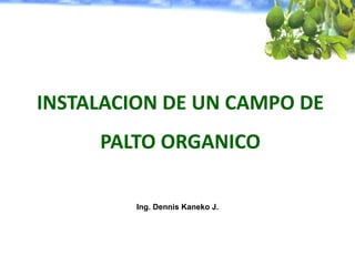 INSTALACION DE UN CAMPO DE
PALTO ORGANICO
Ing. Dennis Kaneko J.
 