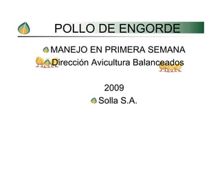 POLLO DE ENGORDE
MANEJO EN PRIMERA SEMANA
Dirección Avicultura Balanceados

            2009
           Solla S.A.
 