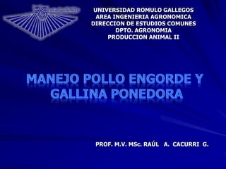 PROF. M.V. MSc. RAÚL A. CACURRI G.
UNIVERSIDAD ROMULO GALLEGOS
AREA INGENIERIA AGRONOMICA
DIRECCION DE ESTUDIOS COMUNES
DPTO. AGRONOMIA
PRODUCCION ANIMAL II
 