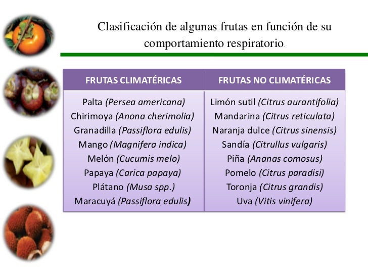 Manejo poscosecha de frutos