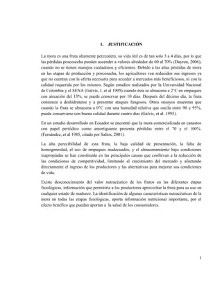 1
1. JUSTIFICACIÓN
La mora es una fruta altamente perecedera, su vida útil es de tan solo 3 a 4 días, por lo que
las pérdidas poscosecha pueden ascender a valores alrededor de 60 al 70% (Dayron, 2006),
cuando no se tienen manejos cuidadosos y eficientes. Debido a las altas pérdidas de mora
en las etapas de producción y poscosecha, los agricultores ven reducidos sus ingresos ya
que no cuentan con la oferta necesaria para acceder a mercados más beneficiosos, ni con la
calidad requerida por los mismos. Según estudios realizados por la Universidad Nacional
de Colombia y el SENA (Galvis, J. et al 1995) cuando ésta se almacena a 2°C en empaques
con aireación del 13%, se puede conservar por 10 días. Después del décimo día, la fruta
comienza a deshidratarse y a presentar ataques fungosos. Otros ensayos muestran que
cuando la fruta se almacena a 0°C con una humedad relativa que oscila entre 90 y 95%,
puede conservarse con buena calidad durante cuatro días (Galvis, et al. 1995).
En un estudio desarrollado en Ecuador se encontró que la mora comercializada en canastos
con papel periódico como amortiguante presenta pérdidas entre el 70 y el 100%.
(Fernández, et al 1985, citado por Saltos, 2001).
La alta perecibilidad de esta fruta, la baja calidad de presentación, la falta de
homogeneidad, el uso de empaques inadecuados, y el almacenamiento bajo condiciones
inapropiadas se han constituido en las principales causas que conllevan a la reducción de
las condiciones de competitividad, limitando el crecimiento del mercado y afectando
directamente el ingreso de los productores y las alternativas para mejorar sus condiciones
de vida.
Existe desconocimiento del valor nutracéutico de los frutos en las diferentes etapas
fisiológicas, información que permitiría a los productores aprovechar la fruta para su uso en
cualquier estado de madurez. La identificación de algunas características nutracéuticas de la
mora en todas las etapas fisiológicas, aporta información nutricional importante, por el
efecto benéfico que puedan aportan a la salud de los consumidores.
 