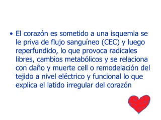 El corazón es sometido a una isquemia se le priva de flujo sanguíneo (CEC) y luego reperfundido, lo que provoca radicales libres, cambios metabólicos y se relaciona con daño y muerte cell o remodelación del tejido a nivel eléctrico y funcional lo que explica el latido irregular del corazón 
