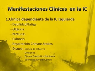 1.Clínica dependiente de la IC izquierda
  - Debilidad/fatiga
  - Oliguria
  - Nicturia:
  - Cianosis
  - Respiración Cheyne.Stokes
  - Disnea: Disnea de esfuerzo
           Ortopnea
           Disnea Paroxística Nocturna
           Edema Agudo de Pulmón
 