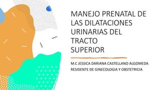 MANEJO PRENATAL DE
LAS DILATACIONES
URINARIAS DEL
TRACTO
SUPERIOR
M.C JESSICA DARIANA CASTELLANO ALGOMEDA
RESIDENTE DE GINECOLOGIA Y OBSTETRICIA
 