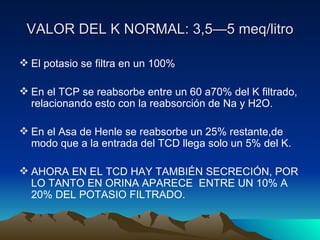 Manejo renal del potasio[1] | PPT
