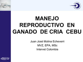 MANEJO
  REPRODUCTIVO EN
GANADO DE CRIA CEBU
    Juan José Molina Echeverri
         MVZ, EPA, MSc
        Intervet Colombia
 