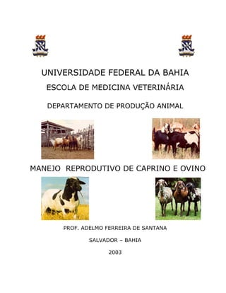 UNIVERSIDADE FEDERAL DA BAHIA
   ESCOLA DE MEDICINA VETERINÁRIA

   DEPARTAMENTO DE PRODUÇÃO ANIMAL




MANEJO REPRODUTIVO DE CAPRINO E OVINO




       PROF. ADELMO FERREIRA DE SANTANA

              SALVADOR – BAHIA

                    2003
 