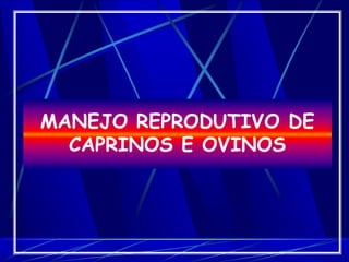 MANEJO REPRODUTIVO DE
CAPRINOS E OVINOS
 