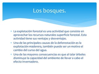  La explotación forestal es una actividad que consiste en
aprovechar los recursos naturales superficie forestal. Esta
actividad tiene sus ventajas y desventajas.
 Una de las principales causas de la deforestación es la
explotación maderera, también puede ser un motivo el
cambio del curso del agua.
 Una de las mayores consecuencias es que al talar árboles
disminuye la capacidad del ambiente de llevar a cabo el
efecto invernadero.
Los bosques.
 