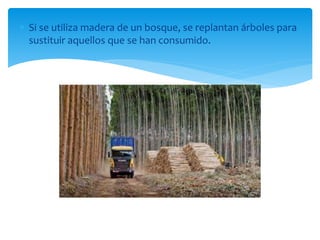  Si se utiliza madera de un bosque, se replantan árboles para
sustituir aquellos que se han consumido.
 