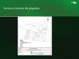 Forma e número de piquetes
 