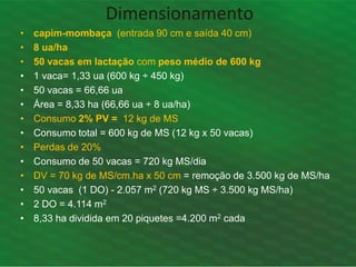 • capim-mombaça (entrada 90 cm e saída 40 cm)
• 8 ua/ha
• 50 vacas em lactação com peso médio de 600 kg
• 1 vaca= 1,33 ua (600 kg ÷ 450 kg)
• 50 vacas = 66,66 ua
• Área = 8,33 ha (66,66 ua ÷ 8 ua/ha)
• Consumo 2% PV = 12 kg de MS
• Consumo total = 600 kg de MS (12 kg x 50 vacas)
• Perdas de 20%
• Consumo de 50 vacas = 720 kg MS/dia
• DV = 70 kg de MS/cm.ha x 50 cm = remoção de 3.500 kg de MS/ha
• 50 vacas (1 DO) - 2.057 m2 (720 kg MS ÷ 3.500 kg MS/ha)
• 2 DO = 4.114 m2
• 8,33 ha dividida em 20 piquetes =4.200 m2 cada
Dimensionamento
 