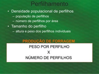 Perfilhamento
• Densidade populacional de perfilhos
– população de perfilhos
– número de perfilhos por área
• Tamanho do perfilho
– altura e peso dos perfilhos individuais
PRODUÇÃO DE FORRAGEM
PESO POR PERFILHO
X
NÚMERO DE PERFILHOS
 
