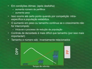 • Em condições ótimas: (após desfolha)
– aumenta número de perfilhos
– aumenta peso
• Isso ocorre até certo ponto quando por competição intra-
específica a população estabiliza.
• O aumento em peso ou tamanho continua se o crescimento não
for interrompido
– inicia-se o processo de redução de população
• Controle de densidade é mais difícil que tamanho (por isso mais
importante!)
• Tamanho e número são inversamente relacionados
Tempo de rebrota
 