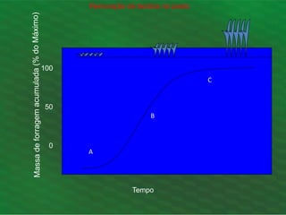 100
50
0
Tempo
Renovação de tecidos no pasto
A
B
C
 