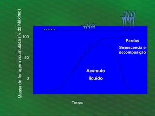 100
50
0
Tempo
Acúmulo
líquido
Perdas
Senescencia e
decomposição
 